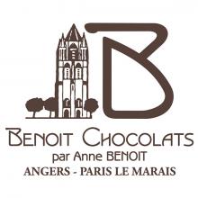 Logo Benoit Chocolat