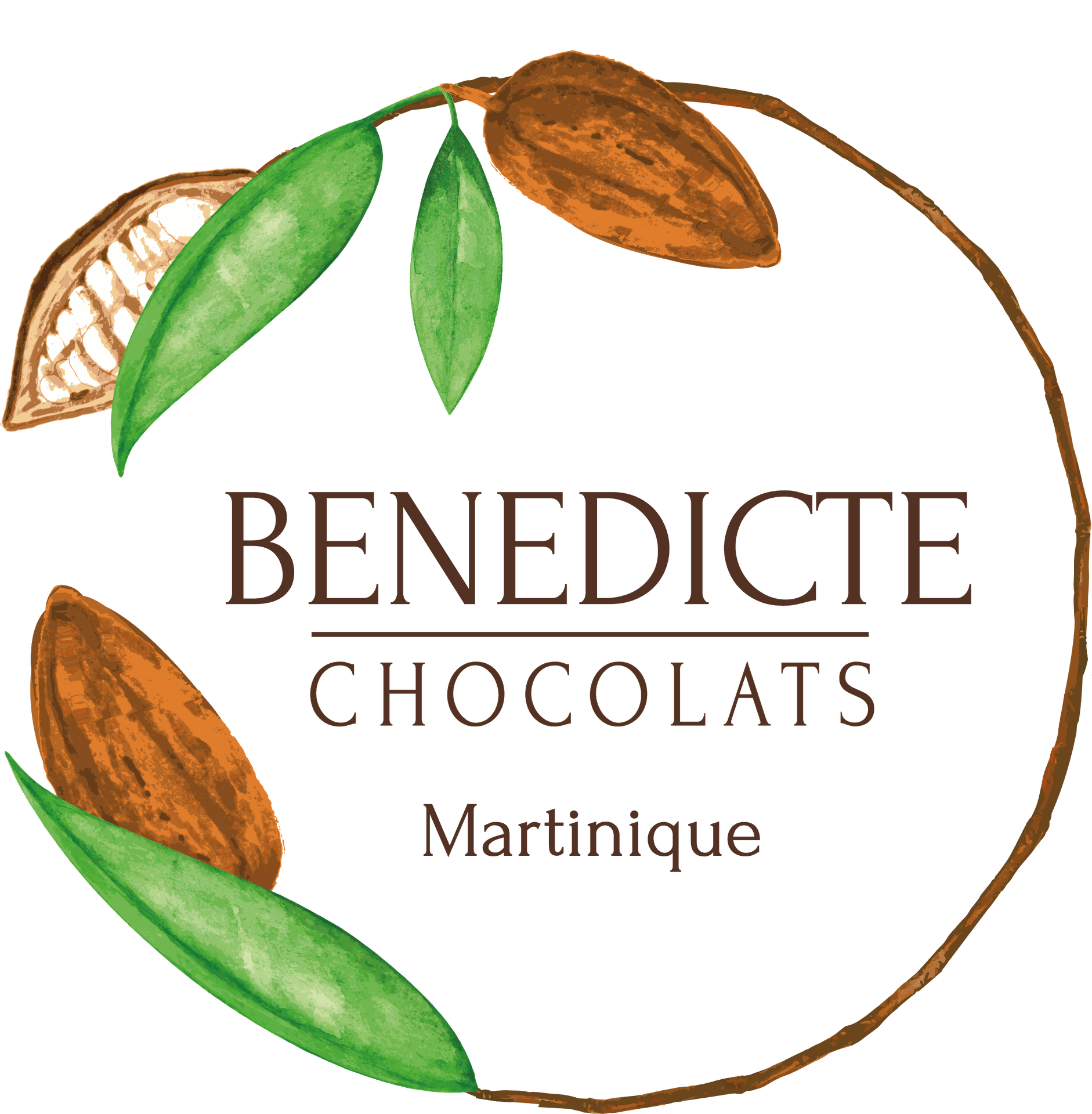 Bénédicte Chocolats