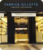 Logo officiel de Fabrice Gillotte